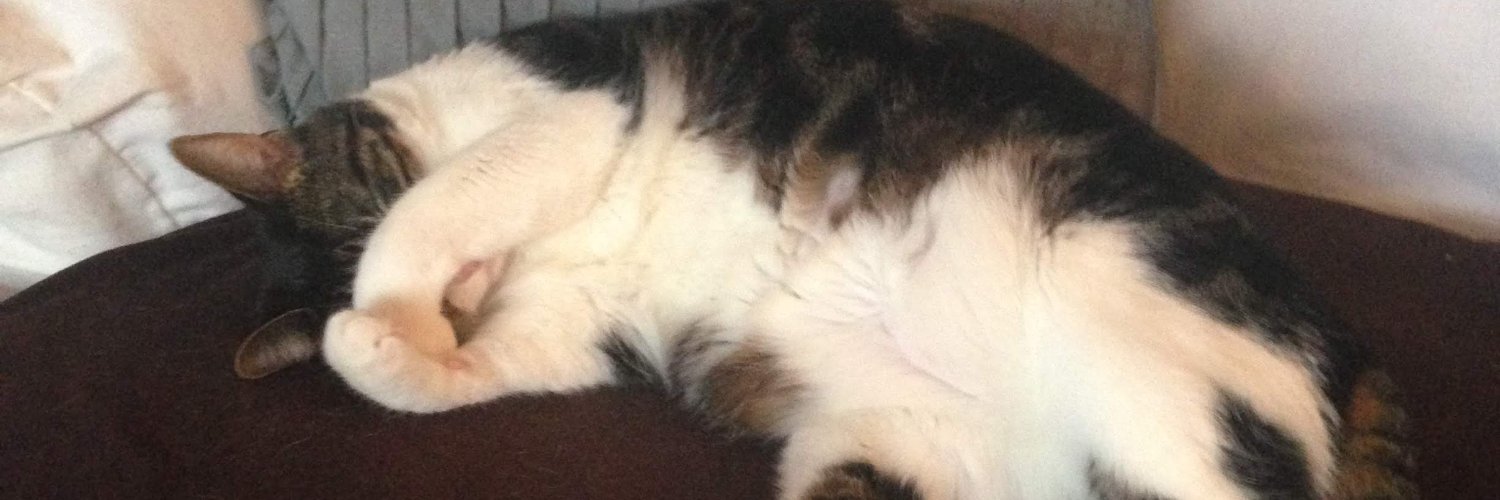 JAS0NJAMES's profile banner image