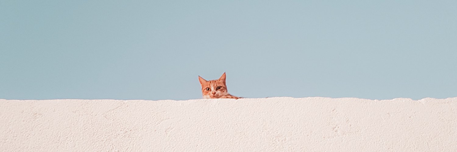 SingularOrg's profile banner image