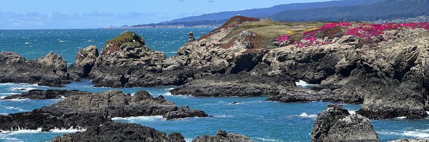 Kashmanchew II banner