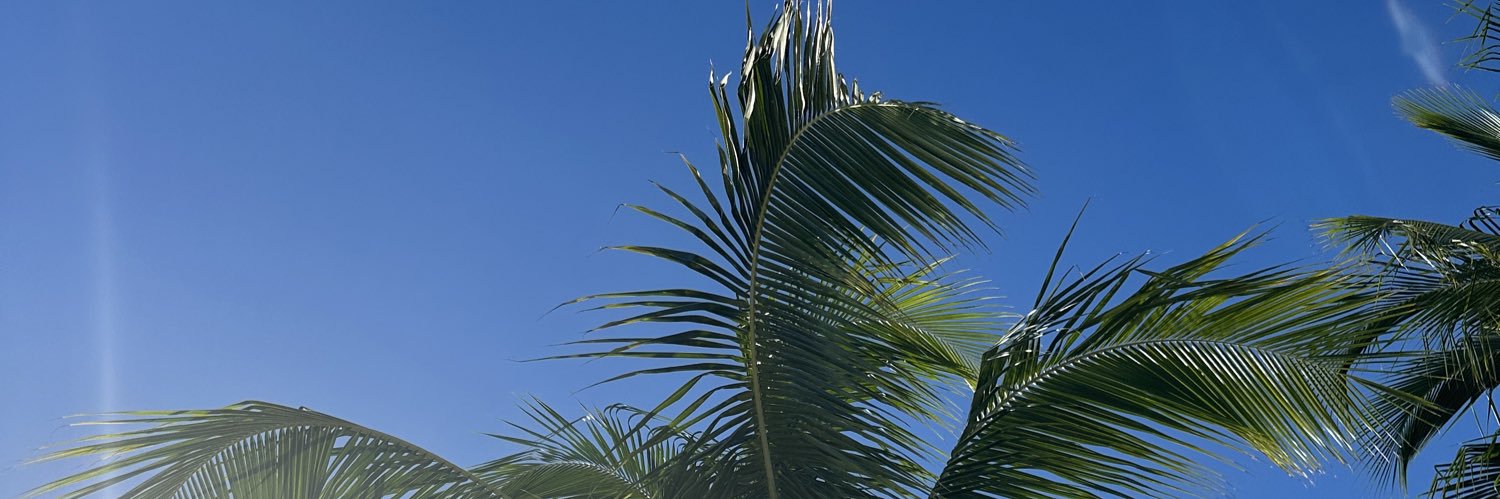 Landon Stephens banner