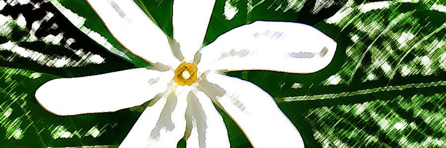 Jennabugg0930's profile banner image