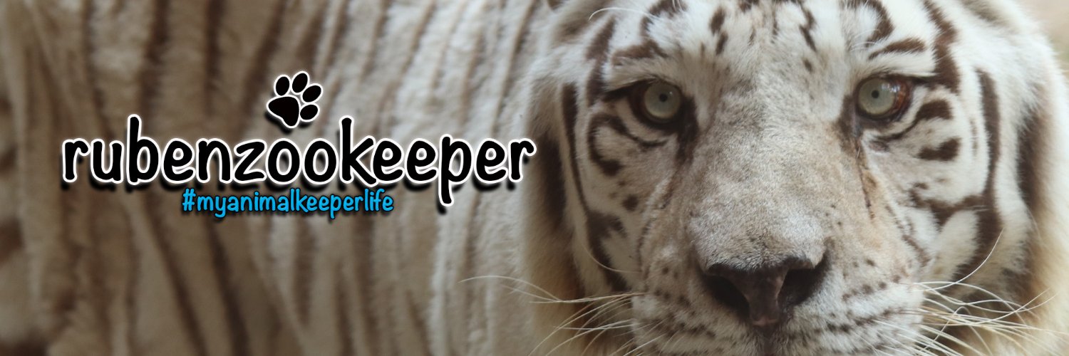 rubenzookeeper's profile banner image