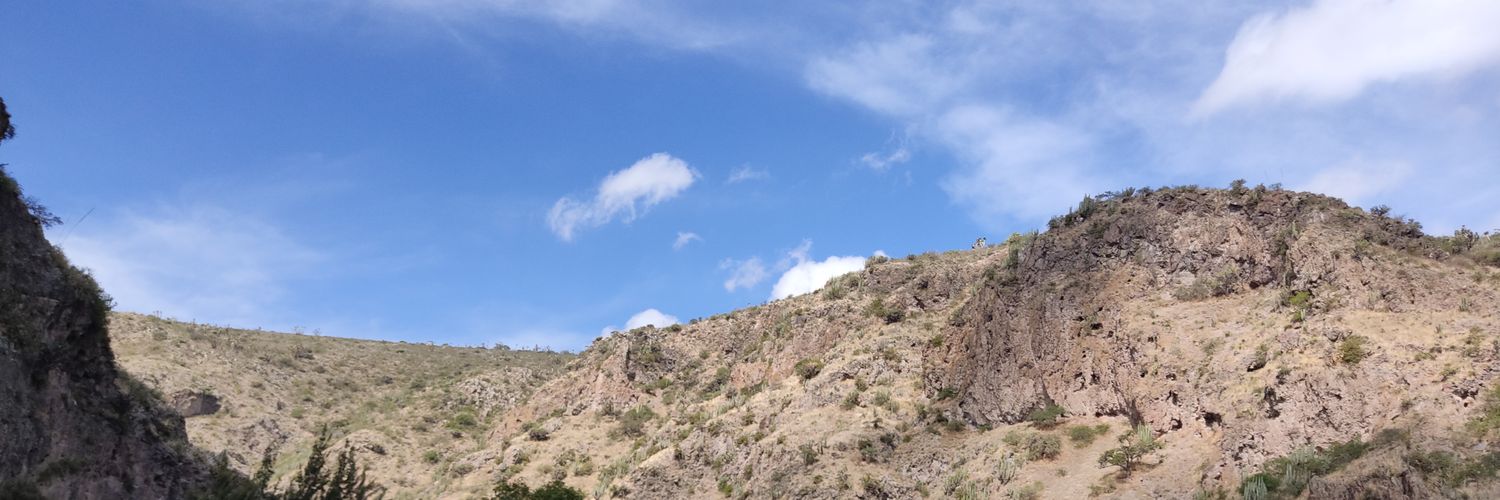 Btontin's profile banner image