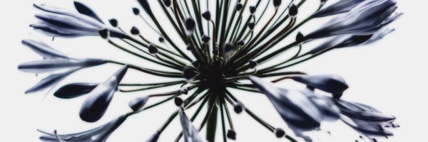 Irshath19 Profile Banner