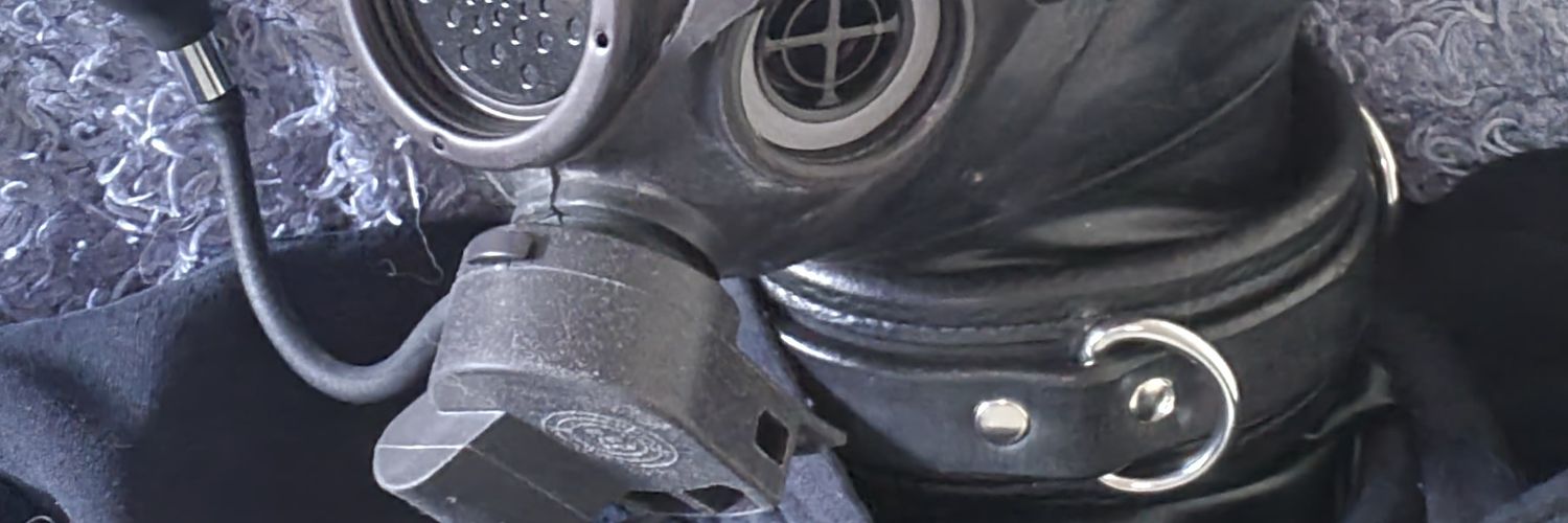 ShinyFentic's profile banner image