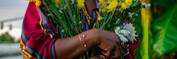 _thegreencanvas Profile Banner