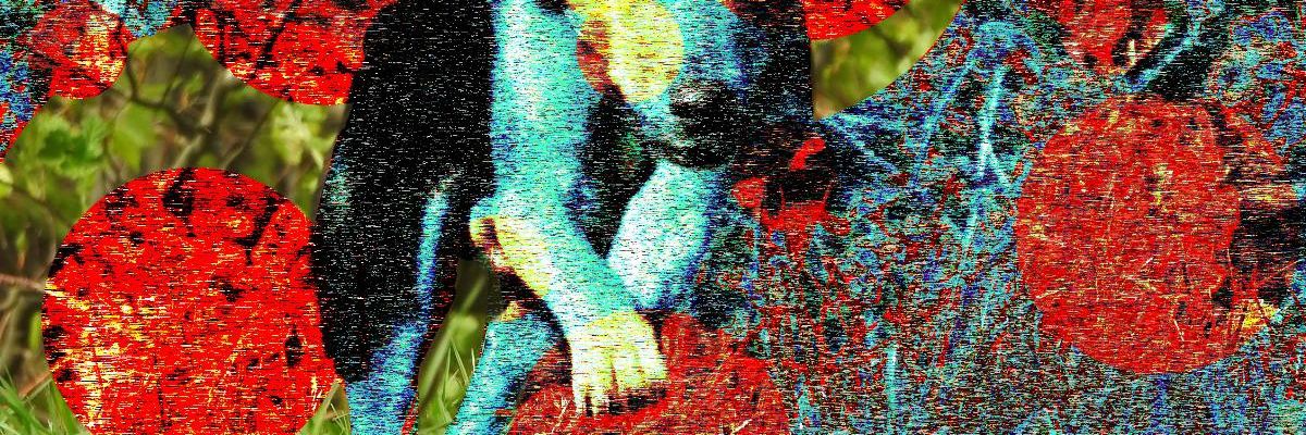 AdA55339489's profile banner image