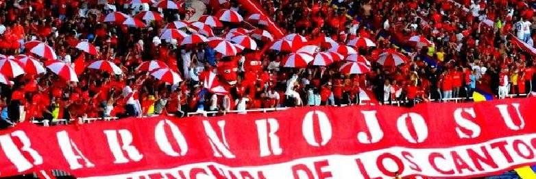 Maria Fernanda banner