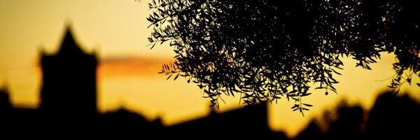 sonrye Profile Banner