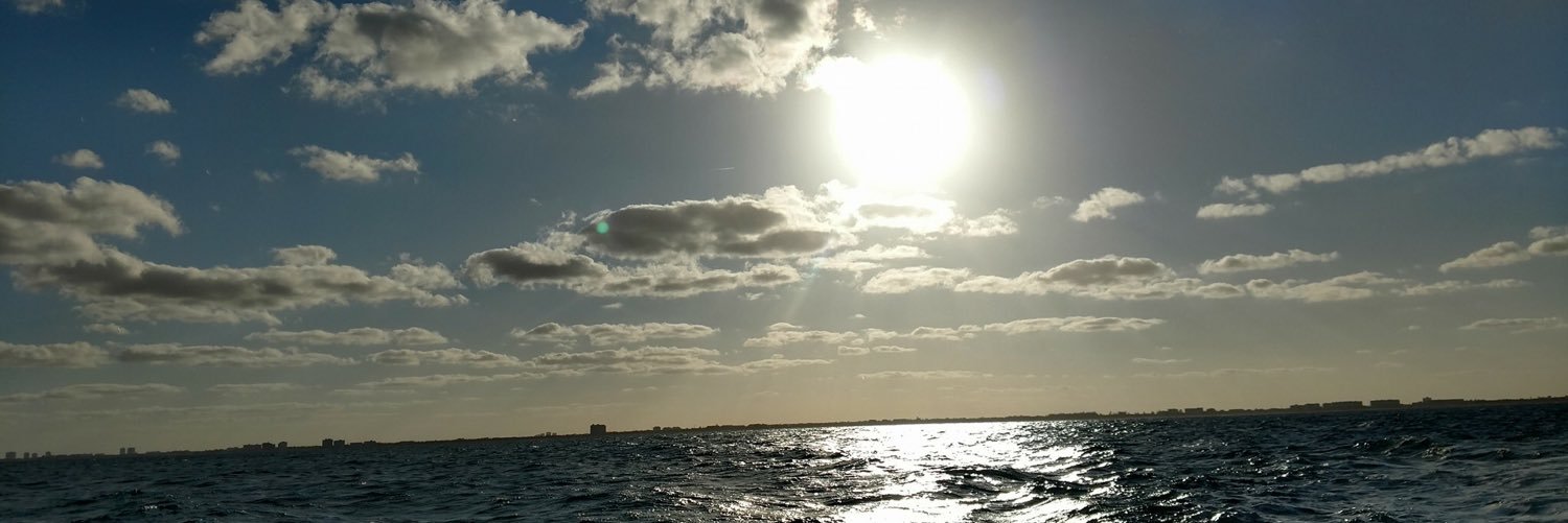MichelleLBerger's profile banner image