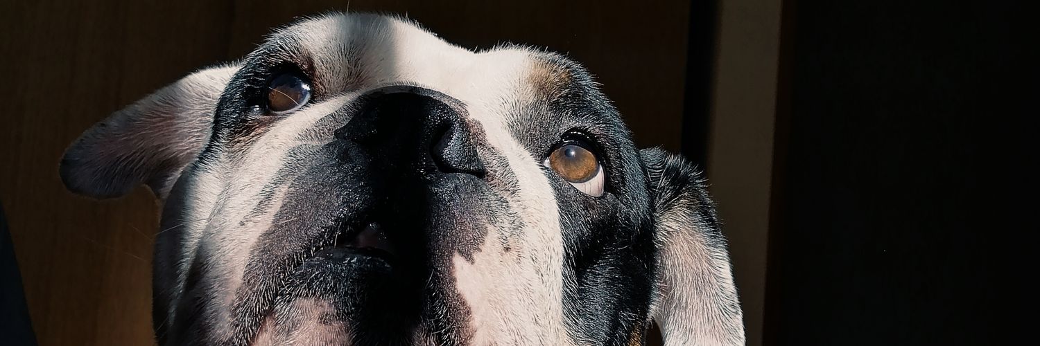 ElNea_III's profile banner image