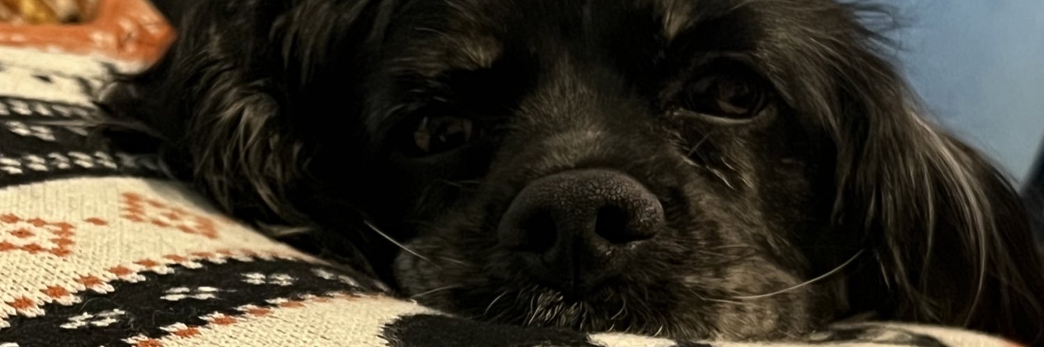 ethanbailey98's profile banner image