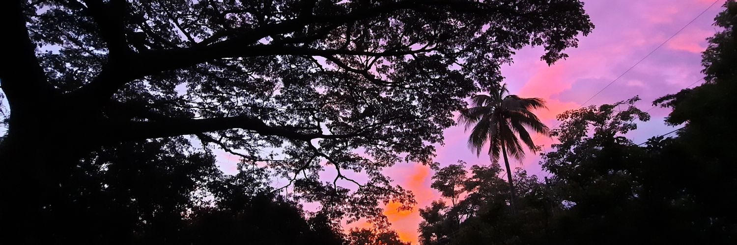HMestayer's profile banner image