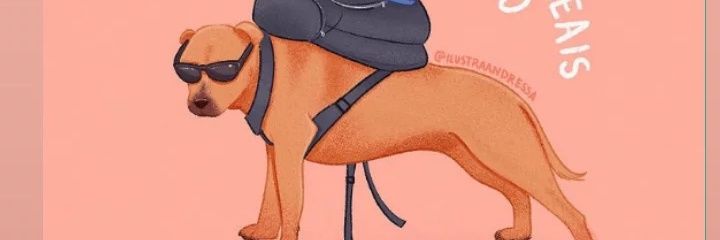 Cairovisky's profile banner image