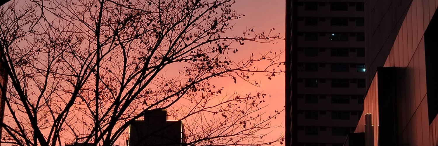 Z ゛ ⸝⸝.ᐟ⋆ banner