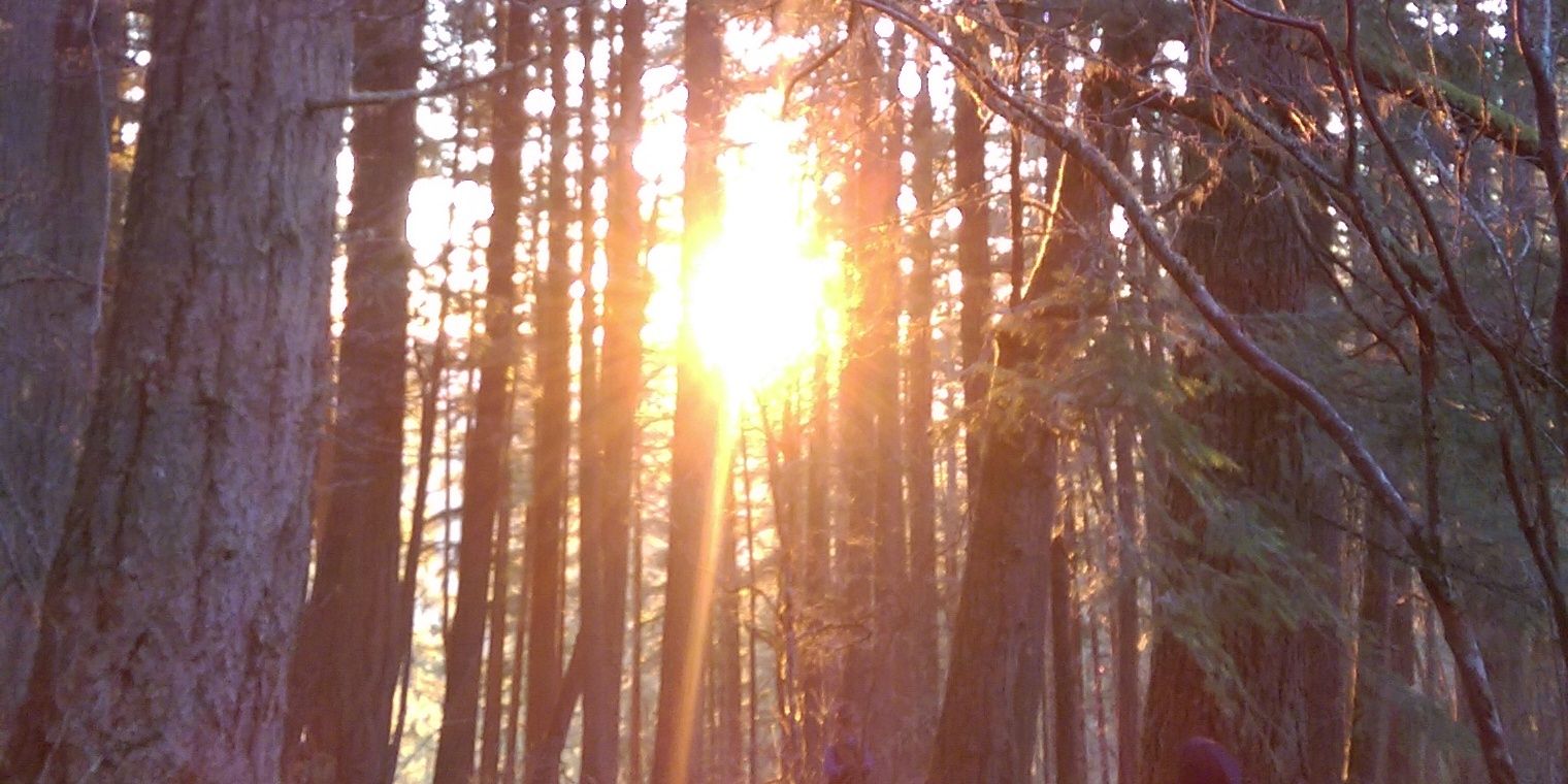 Willowbottom's profile banner image
