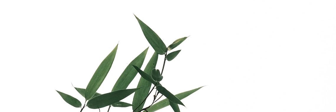 sullenhee's profile banner image
