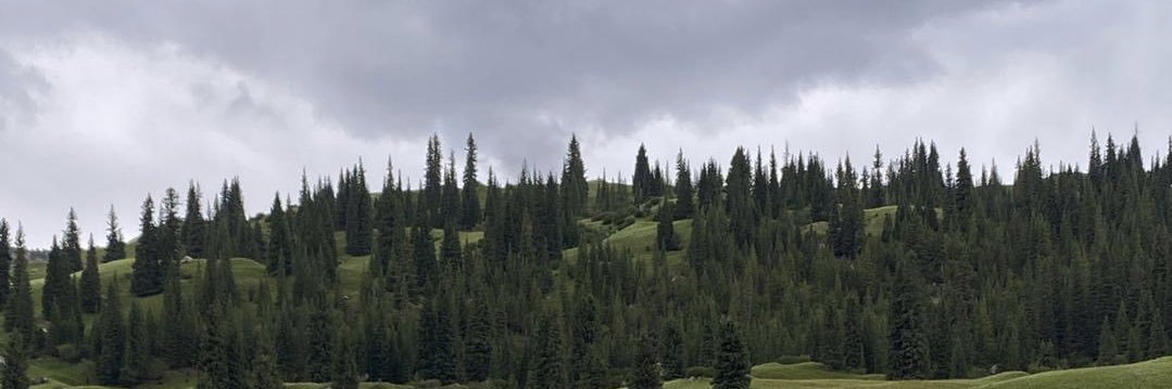 xiaogou52's profile banner image
