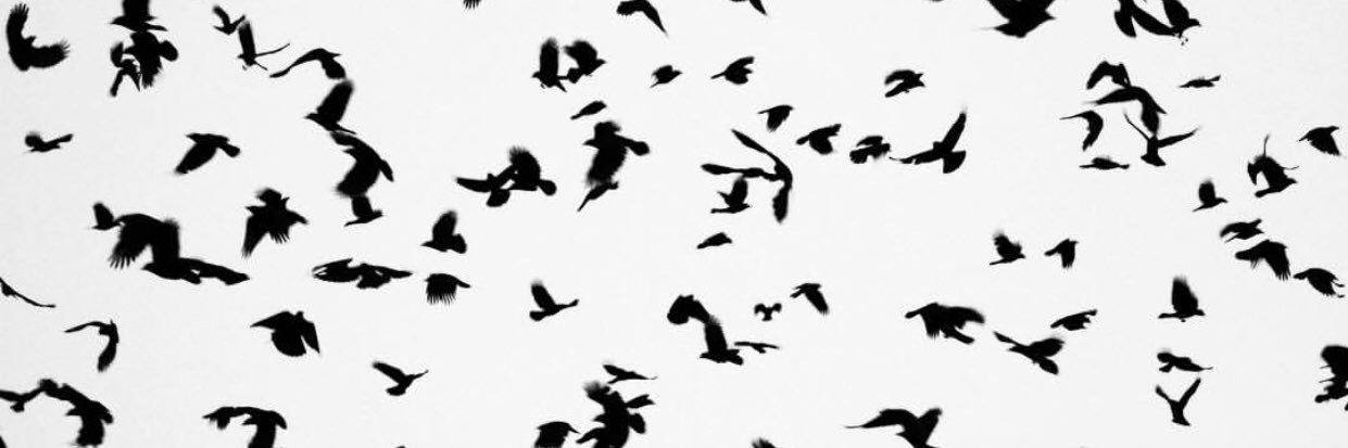 narek0215's profile banner image