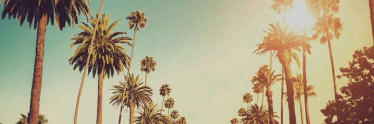 phelans2's profile banner image