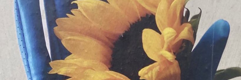 Хельге_FellaByNature 💚🇪🇺🇩🇪🇺🇦🇬🇪🇮🇱💚's banner
