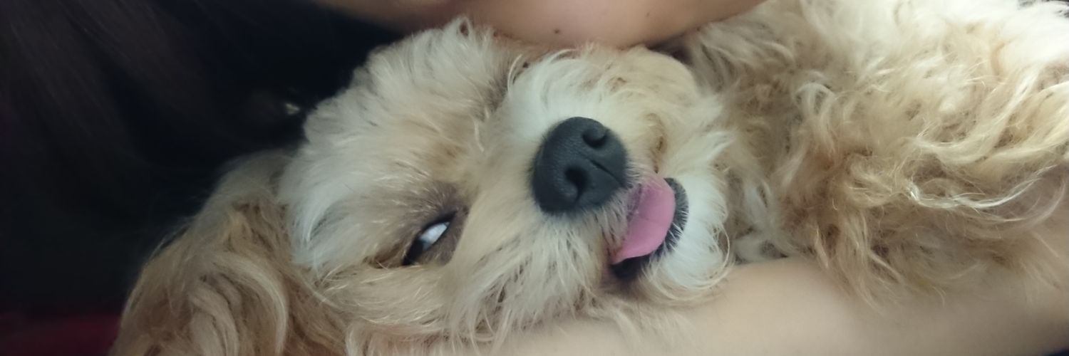 paaaco524's profile banner image