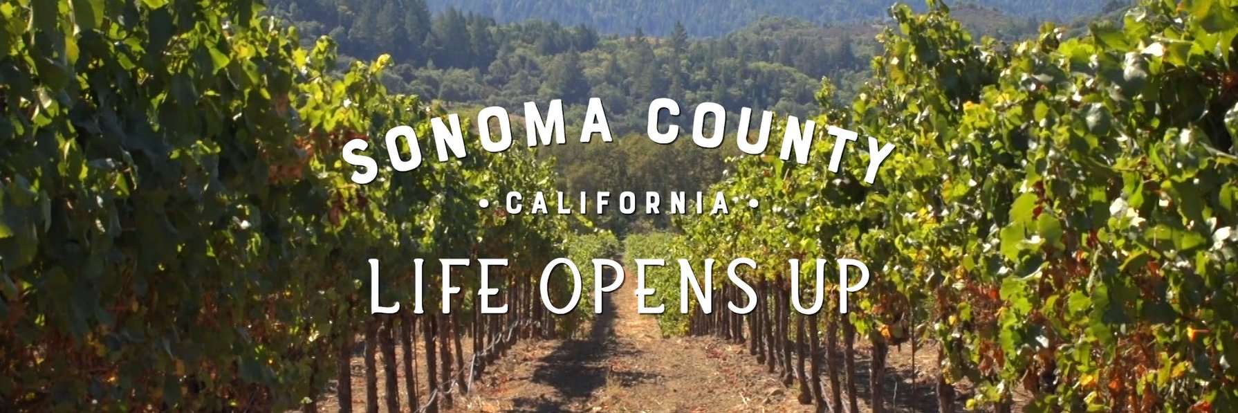 InsideSonoma banner
