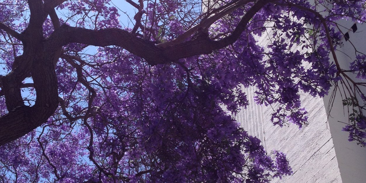 Tanesha_Orr's profile banner image