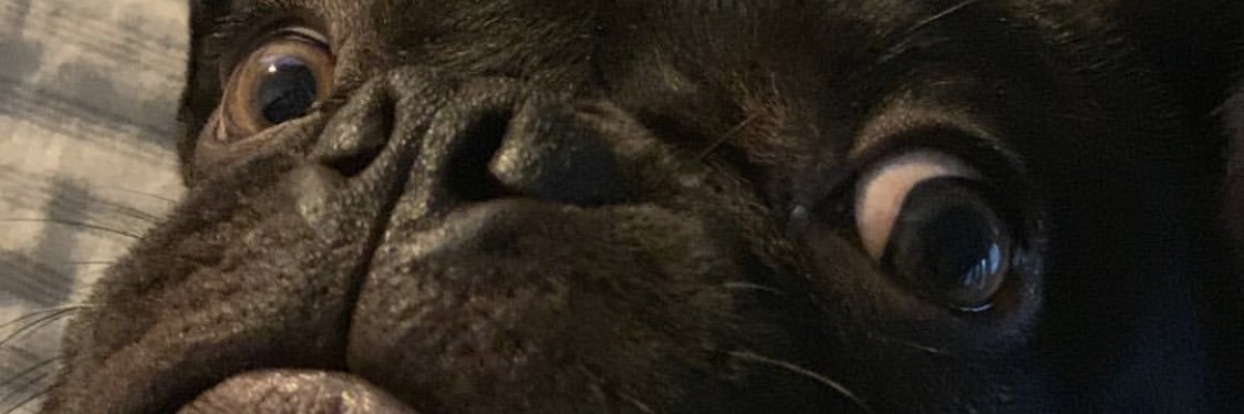 krosskicksgrass's profile banner image