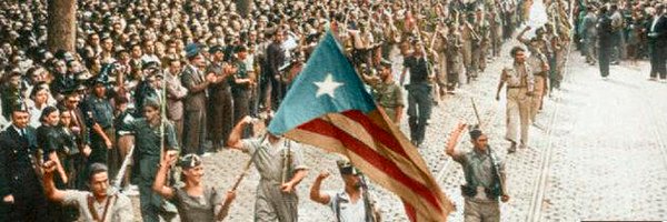 basanydebaixLlo Profile Banner