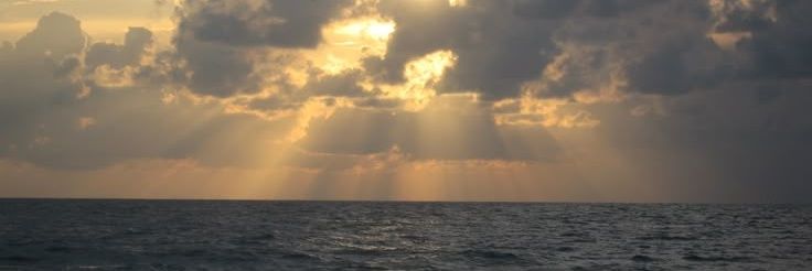 SrrWichay's profile banner image