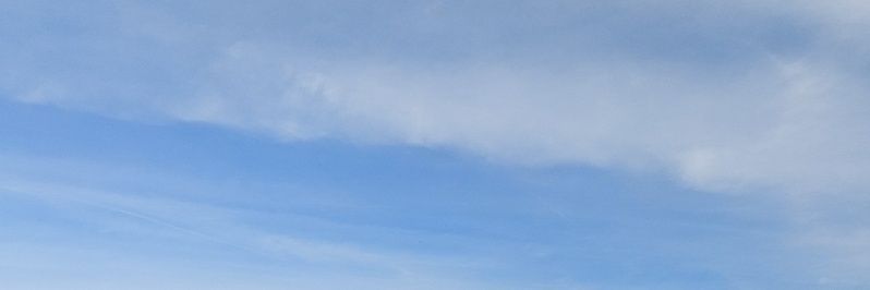 DearPrudenceHey's profile banner image