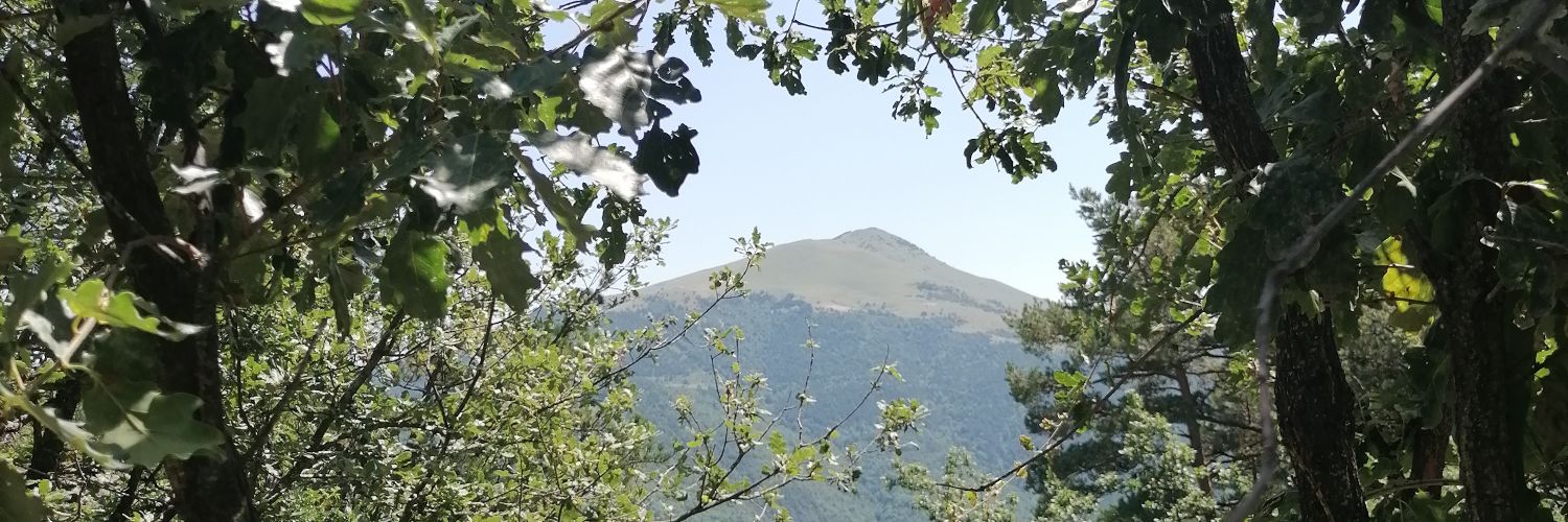 Albert Castany 🎗 banner