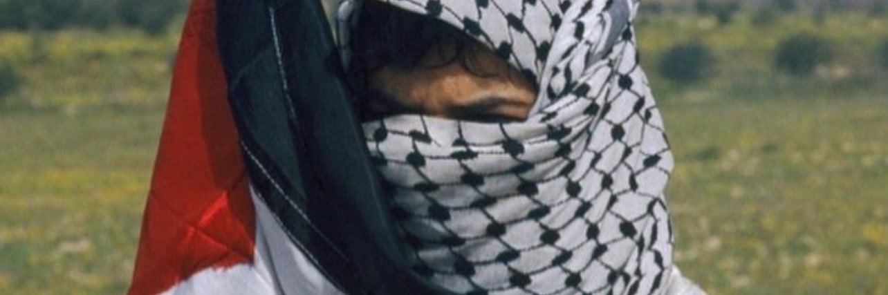 🇵🇸 banner
