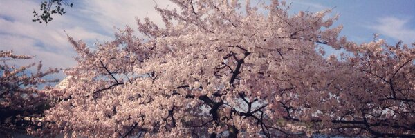 megankcorey Profile Banner