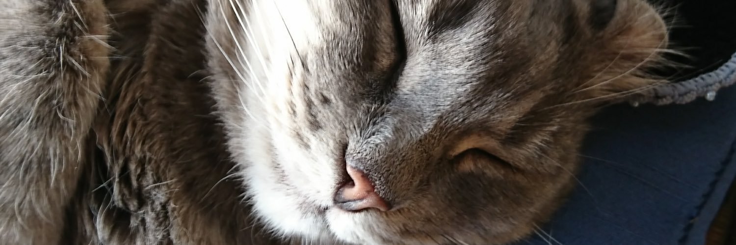 kool6662's profile banner image