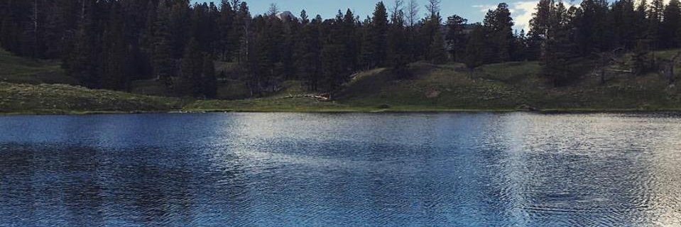 WillDahlem's profile banner image