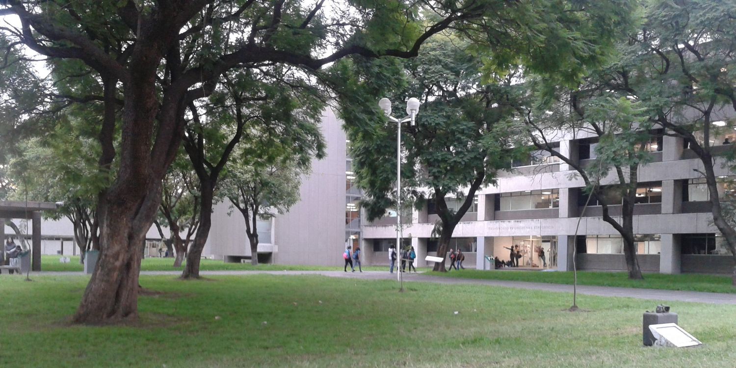 Daniel Torres banner