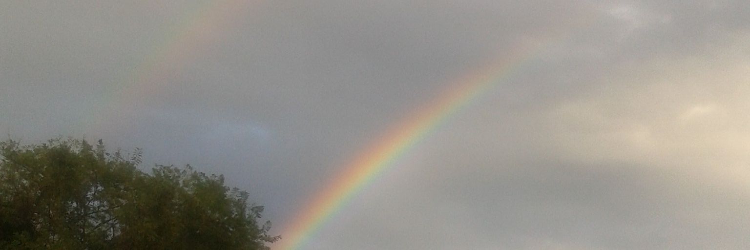 vircelis's profile banner image