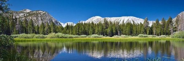 Riz28 Profile Banner