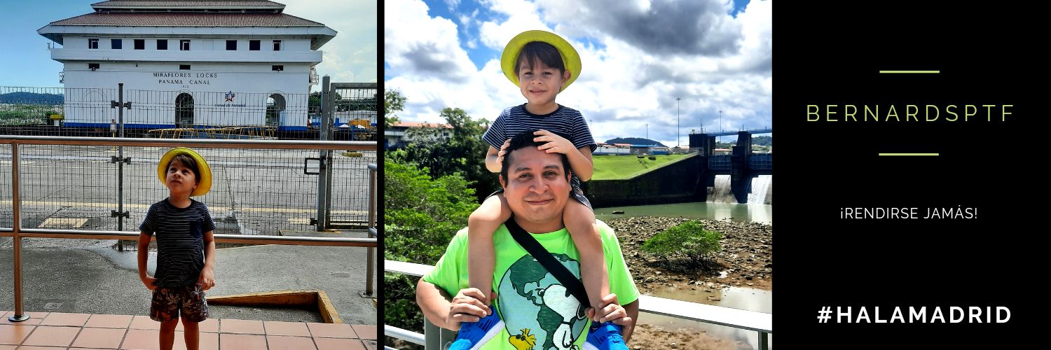 El Pitu aka Bernardo 🦕🦖 banner