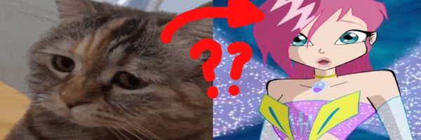 meowssings Profile Banner