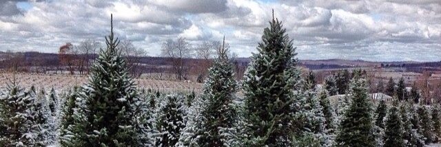 QPTreeFarm's profile banner image