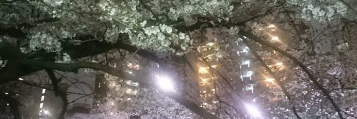 idontwd's banner