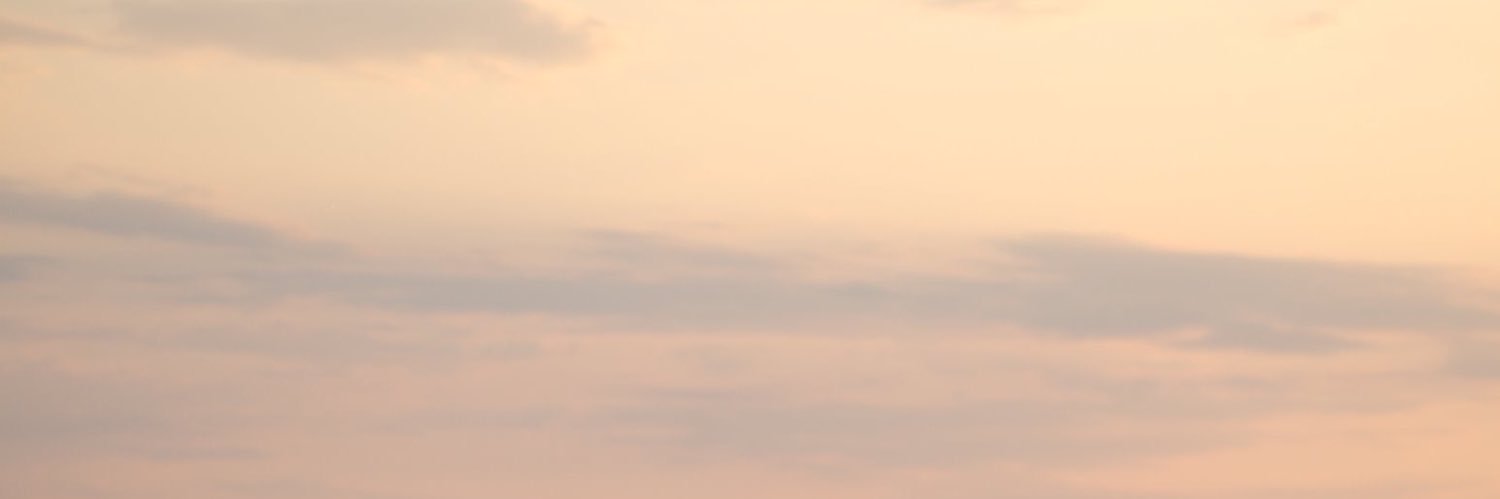 MunnMadison's profile banner image