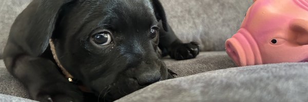 WillowCCG Profile Banner