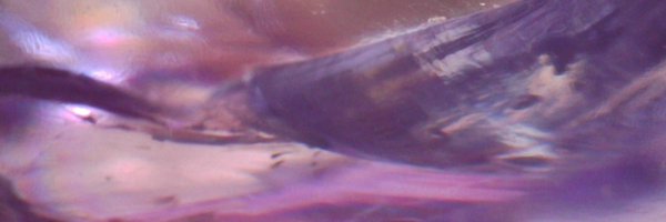 eduDevCF Profile Banner