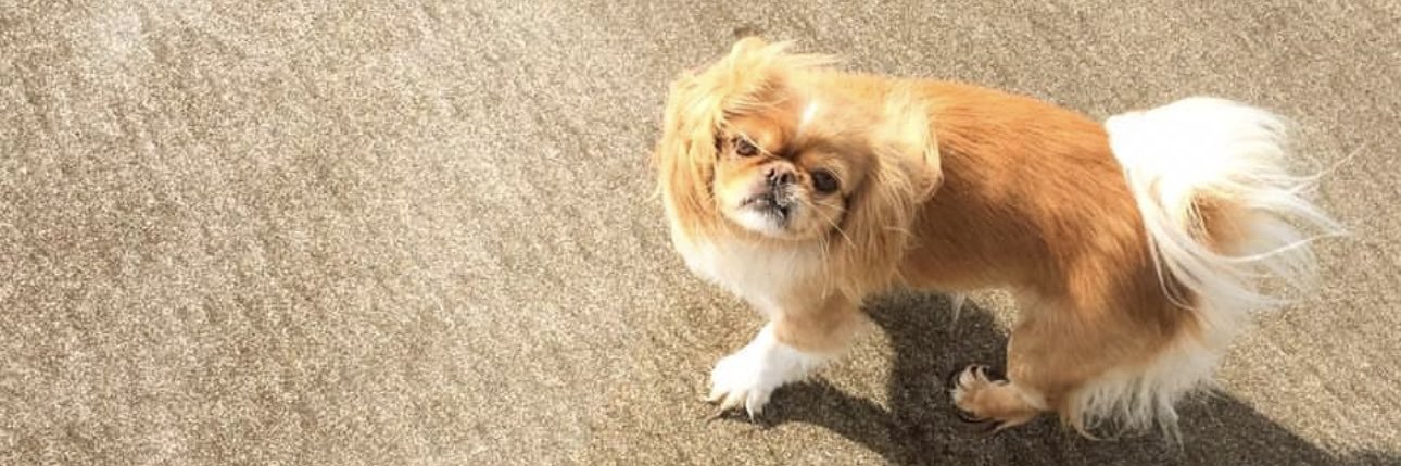 LuuuvZ_'s profile banner image