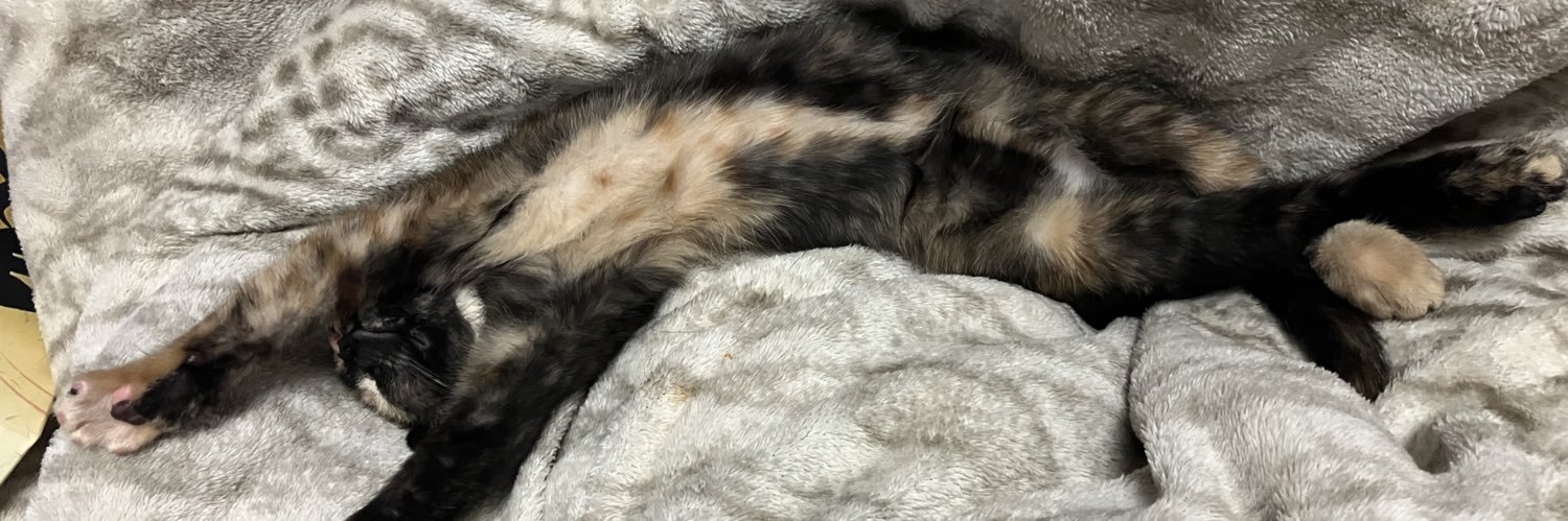 よしまる　サビ猫あきちゃんと暮らす banner