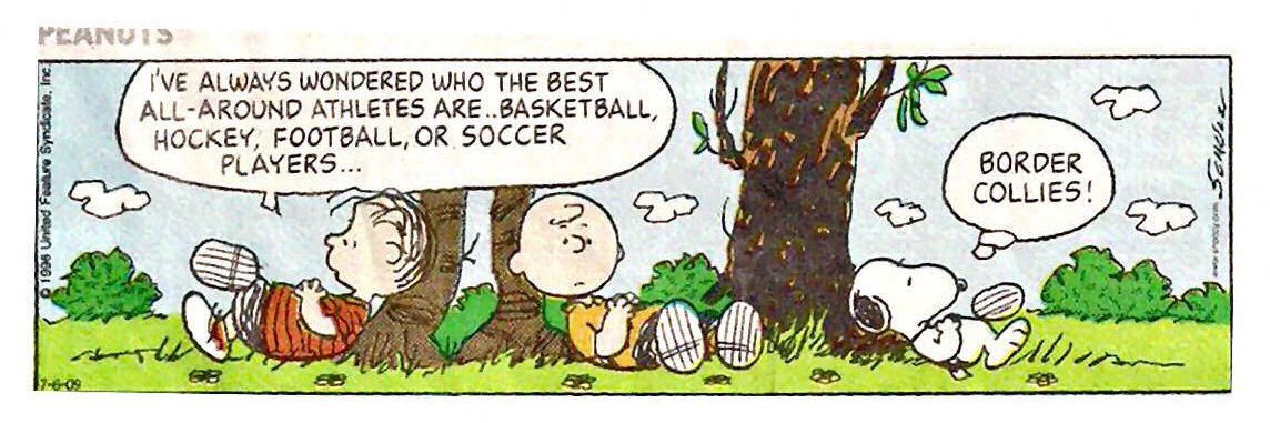 Cecily Zander banner